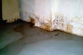 Top Causes Of Basement Moisture And How