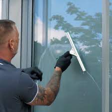 Squeegee Window Cleaning I Professional