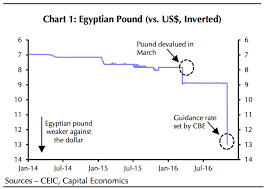 Egypt Unpegs The Egyptian Pound From Us Dollar Business