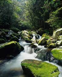 野河内渓谷 | 観光スポット | 【公式】福岡県の観光旅行情報サイト「クロスロードふくおか」