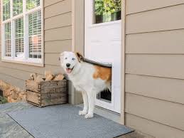 Extra Large Dog Doors What To Consider