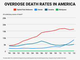 Overdose Deaths From Painkillers And Heroin Hit Record Numbers