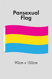Here's what the colors mean. Pansexual Flag Proud Minority