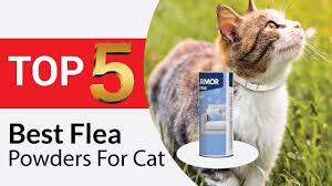 top 5 best flea powders for cat in 2024