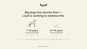 Loyal for Dogs gambar png