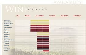 Image Result For Wine Varietal Chart Wine Varietals