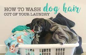 When the dryer is done, take out the laundry, give it one last shake to remove any remaining pet hair and put it in the washer. How To Wash Dog Hair Out Of Clothes And Blankets Kol S Notes