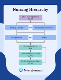 a guide to the nursing hierarchy