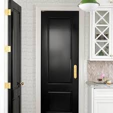 Black Glass Pantry Door Design Ideas