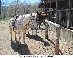 Horses tied to hitching posts. 3 horses tied to hitching posts at old  western town. | CanStock