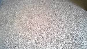 white vinegar to clean carpet stains