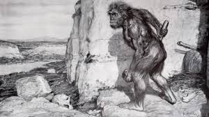 Neanderthal's posture wasn't stooped | KidsNews