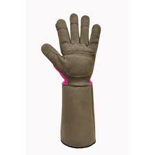 Medium Gloves 2430m