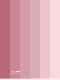 Pink Rose Colour Scheme Shades Of
