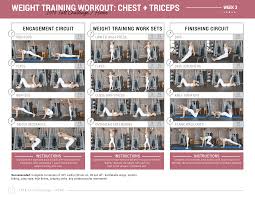 chest triceps upper body weight