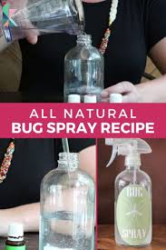 diy bug spray all natural and inexpensive