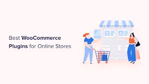 best woocommerce plugins for your