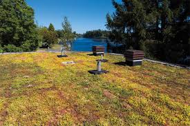 Modular Vegetated Roofing Systems