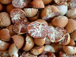 betel nut health benefits precautions