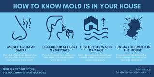 11 Symptoms Of Mold Exposure That You