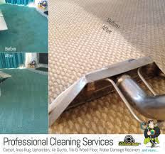 Top care cleaning ® in tarpon springs, fl offers quality, detailed carpet cleaning services with green technology to the tampa bay, fl area. Carpet Cleaning Services In Tampa Fl And Surrounding Areas Tampa Fl Patch