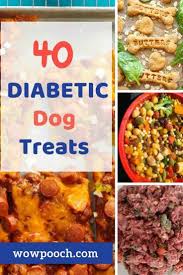 Homemade diabetic dog food meals. Easy Recipes For Diabetic Dog Treats Diabetic Dog Dog Food Recipes Easy Dog Treat Recipes