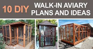 Outdoor Walk In Aviary Ideas And Diy Plans