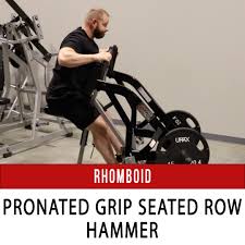 hammer strength isolateral low row n1