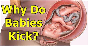 7 Interesting Facts About Baby Kicks During Pregnancy