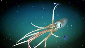 giant squid ocean treres