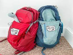 the best backpack for travel with kids