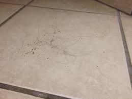 Image result for hair on floor