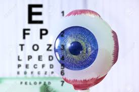 Ophthalmology Oculus Sample Closeup Ophthalmology Eye Model