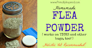 homemade flea powder primally inspired