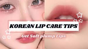 soft plump lips korean lip care