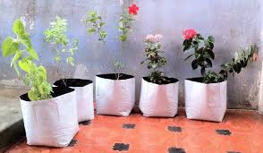 Home Garden Grow Bags Plant Grow Bag