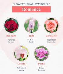 Check spelling or type a new query. 15 Flowers That Mean Love To Add To Your Bouquet Proflowers
