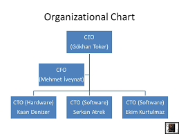Organizational Chart Ceo Cfo Bedowntowndaytona Com