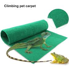 odor free climbing carpet climbing pet