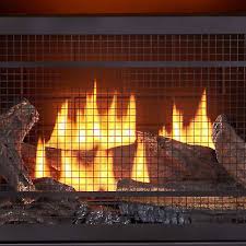 Dual Fuel Ventless Gas Fireplace Insert