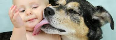 can a kiss on the mouth from a pet