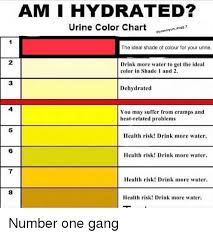 Am I Hydrated Urine Color Chart Eprempun 02 Yum Dogg The