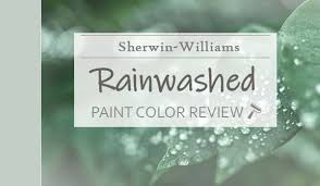 Sherwin Williams Rainwashed Color