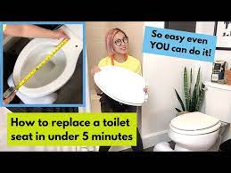Remove Replace A Toilet Seat