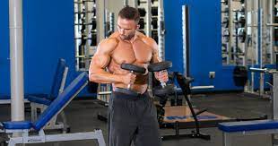 muscle building split workout muscle