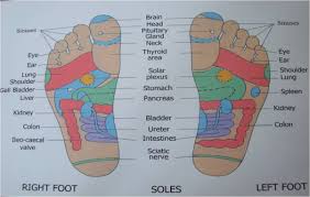 This Chart Shows The Areas Of The Feet Where The