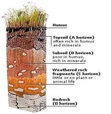 Draw A Labelled Diagram Showing The Soil Profile Geography