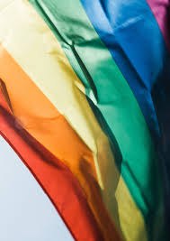 Resultado de imagem para Prefeitura publica Decreto que cria NÃºcleo de PolÃ­ticas PÃºblicas LGBTQI+
