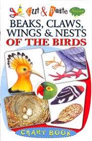 Buy Beaks Claws Wings Nests Of The Birds Cut Paste