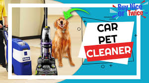 carpet spot cleaner for pets 2023